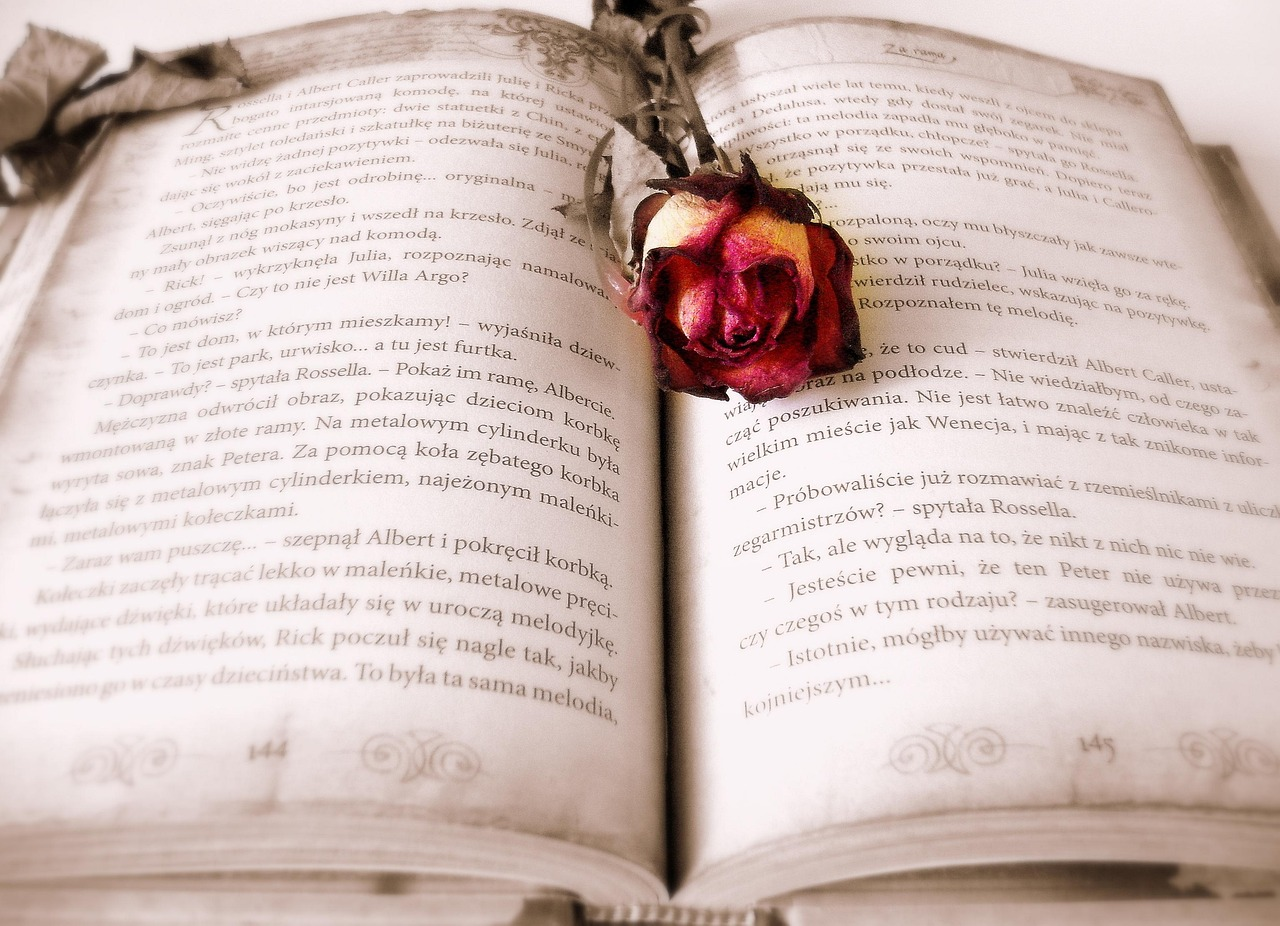 The Power Of Now Book Review And Insights